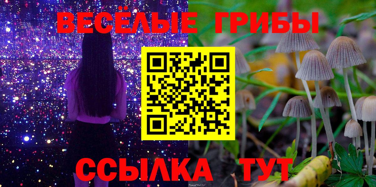 Галлюциногенные грибы мухоморы Нижневартовск